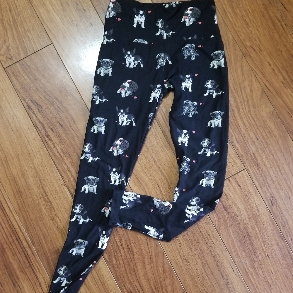 Dog leggings